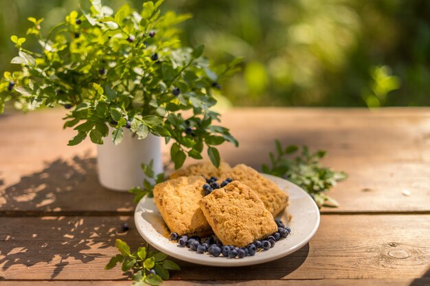 Keksdessert mit Blaubeeren auf Holztisch im Freien