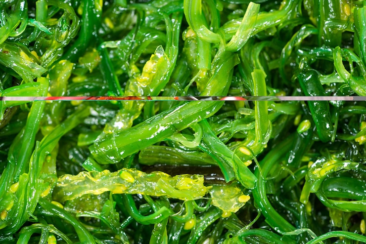 Foto kelp salat hintergrundbild