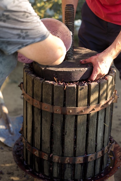 Kelter mit rotem Most und spiralförmiger Schnecke Herstellung von traditionellen italienischen Weinen, Pressen von Trauben