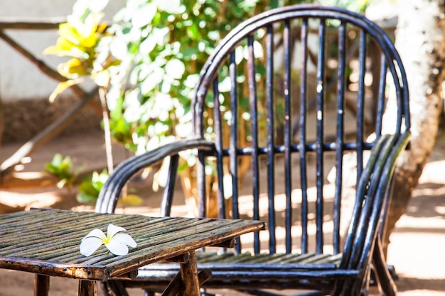 Foto kenia. elegante möbel aus holz in einem afrikanischen garten