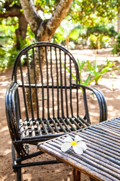 Kenia. Muebles elegantes de madera en un jardín africano