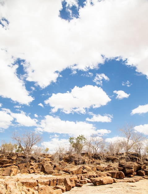 Kenia, Parque Nacional de Tsavo East. Un camino en medio de la sabana con un maravilloso cielo azul.