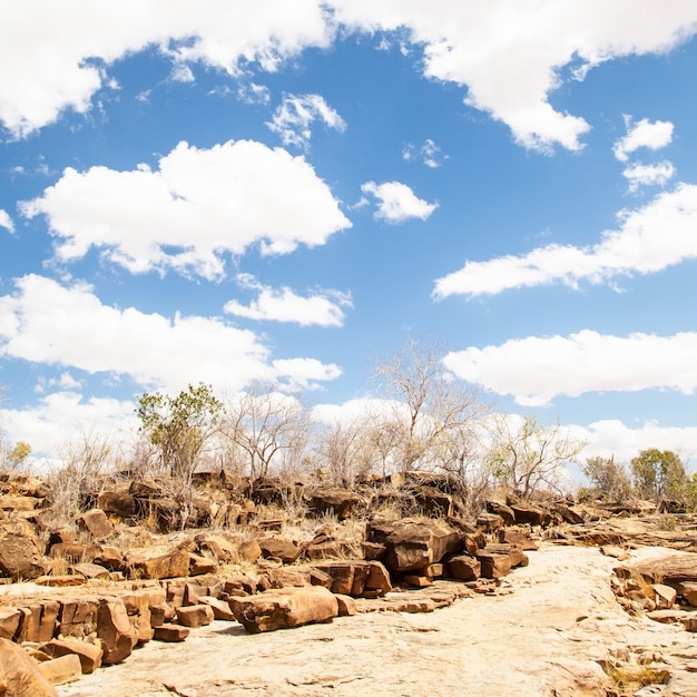 Kenia, Tsavo-Ost-Nationalpark. Ein Weg mitten in der Savanne mit einem wunderbar blauen Himmel