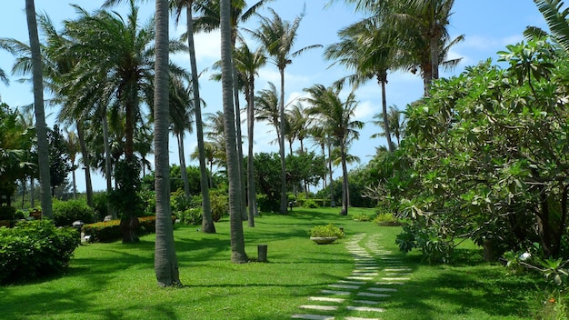 Kenting resort no sul de Taiwan, o jardim do hotel