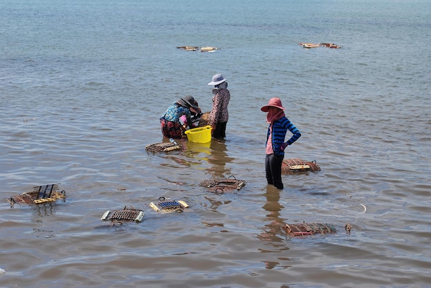 Kep A Província de Kep Camboja 11272012 Mulher com cestas de caranguejo perto do mercado de caranguejo