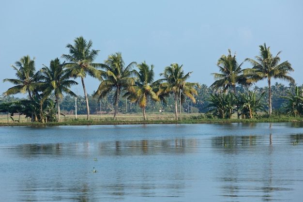 Kerala Backwaters