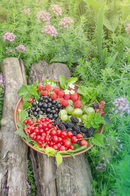 Keramikschale mit verschiedenen Beeren