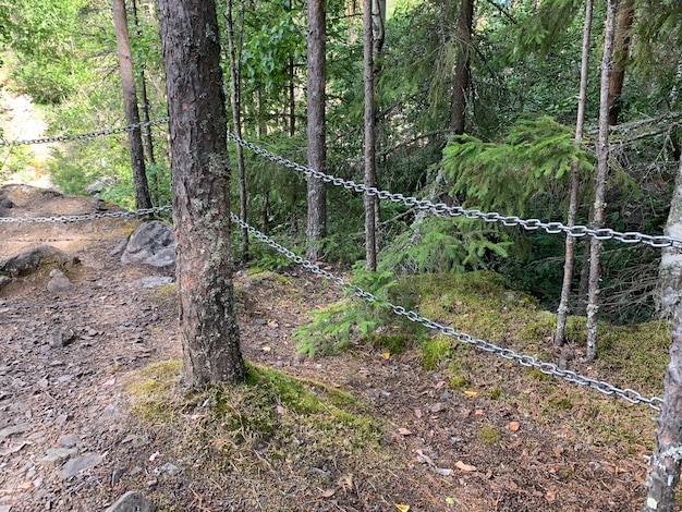 Kettenzäune im Wald auf einem Bergpfad in der geschlossenen Straße des Reservats im Park