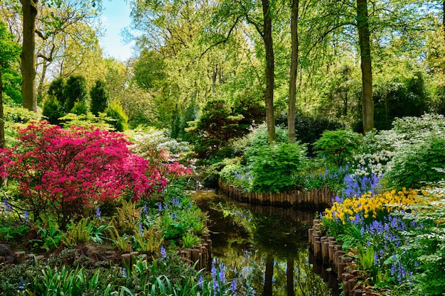 Keukenhof Blumengarten. Lisse, die Niederlande.