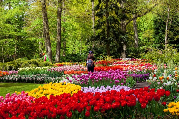 Keukenhof, Niederlande - April 2017: Besucher im Frühjahr blühen Keukenhof Park in Amsterdam Bereich, Niederlande.