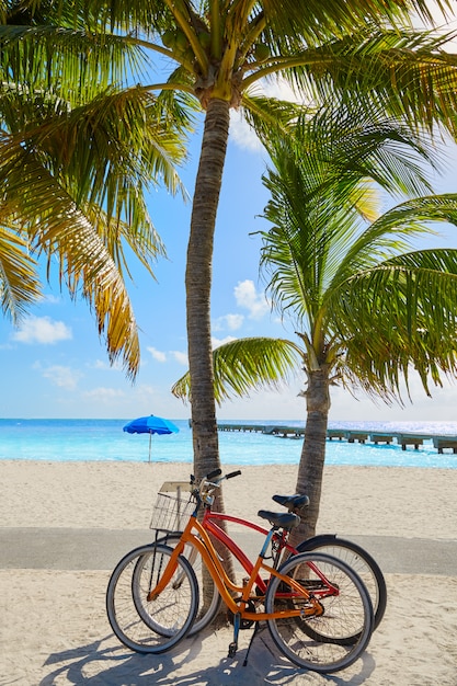 Key West Florida Beach Clearence S Higgs