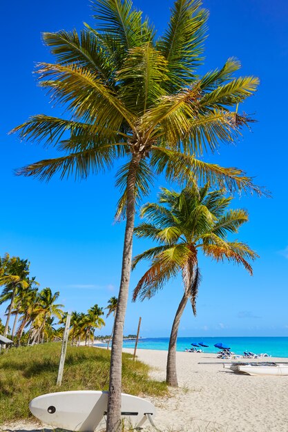 Key West Florida Smathers playa palmeras US