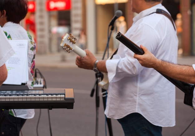 Keyboarder und Gitarrist