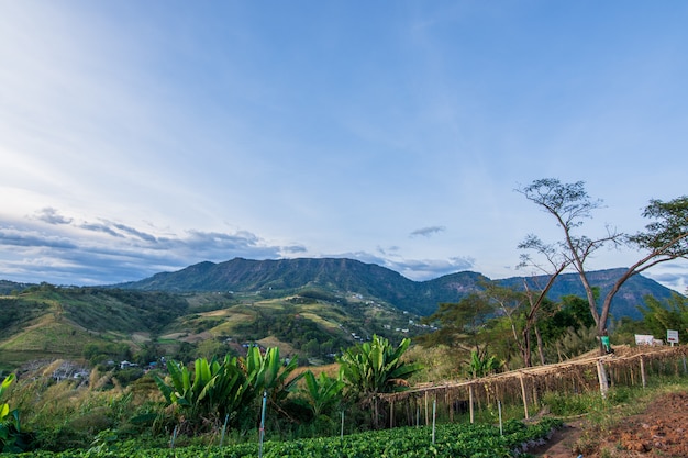 Khao Kho Bergnatur