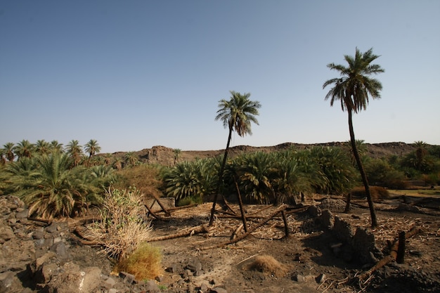 Khaybar al norte de Medina en el Hejaz