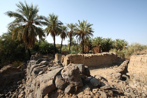 Khaybar al norte de Medina en el Hejaz