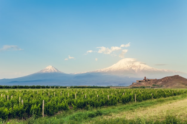 Khor Virap y el monte Ararat