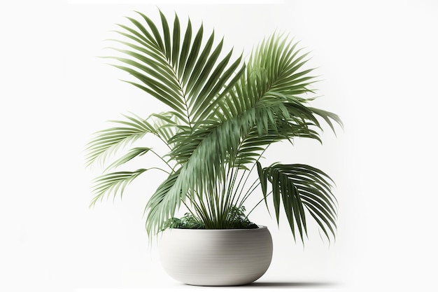 KI-generierte Illustration einer exotischen Topfpflanze isoliert auf einem makellosen weißen Hintergrund