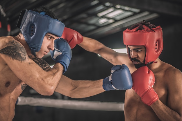 Kickboxen Kickboxer in schützenden Hemlets kämpfen und sehen entschlossen aus