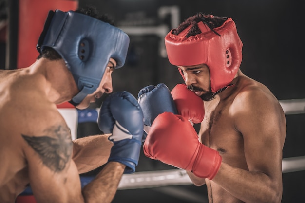 Kickboxing kickboxers em hemlets protetores lutando e parecendo determinados