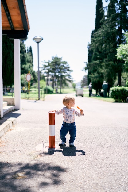 Kid está parado con una zanahoria cerca de un pequeño poste rayado en el parque