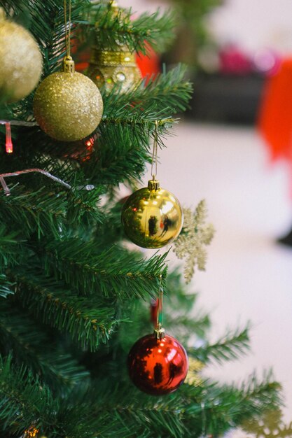 Kiefer Weihnachtsbaum Geschenk