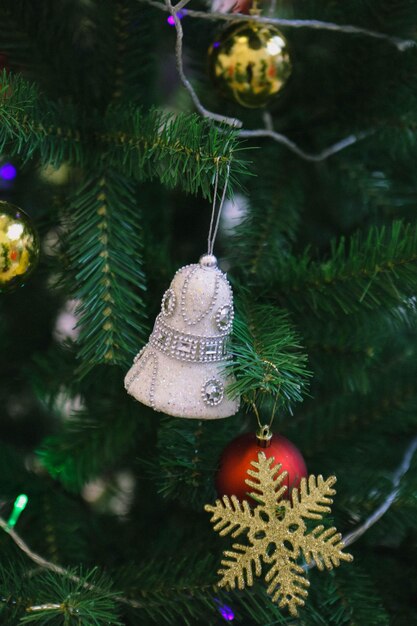 Kiefer Weihnachtsbaum Geschenk