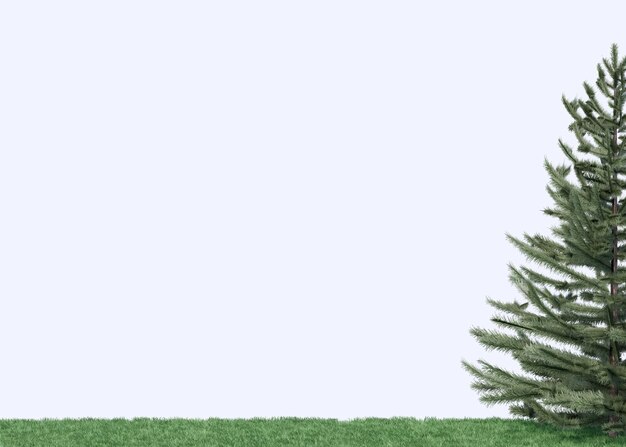 Foto kiefern inmitten von grünem gras mit weißem wandhintergrund tannenbaum, symbol für weihnachten
