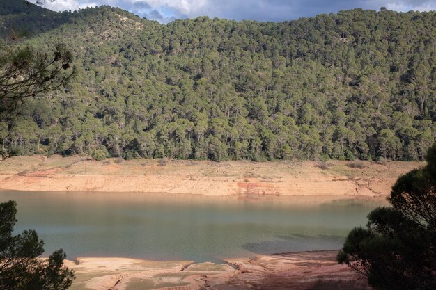 Kiefern Tranco de Beas Reservoir in Cazola Segura und Nationalpark Las Villas, Jaen, Spanien