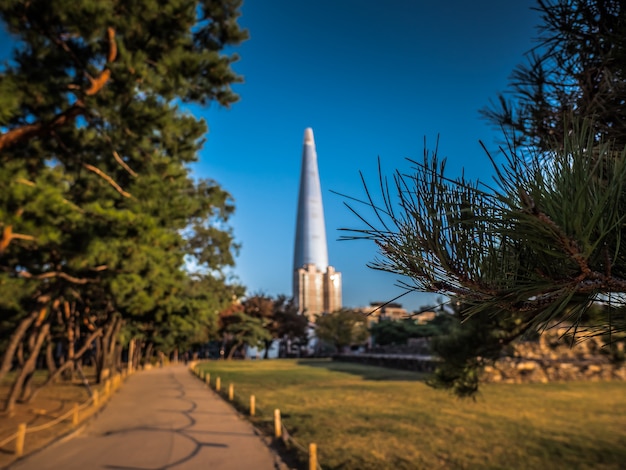 Foto kiefernniederlassungen mit schönem turm hinten