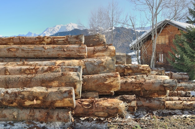 Kiefernstämme im vorderen Holzchalet in den Bergen