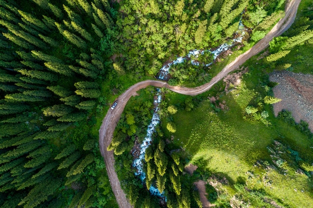 Kiefernwald von oben, Frühlingssaison, Forststraße und Fluss