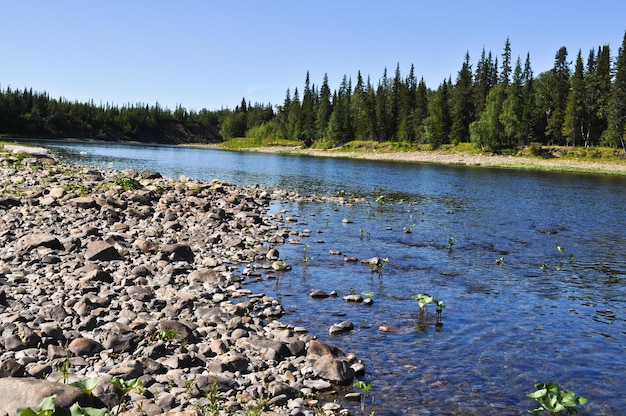 Kiesel am Ufer des Ural-Taiga-Flusses