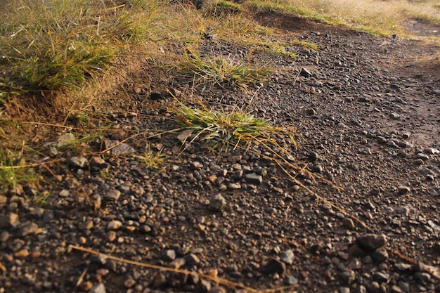 Kiesel und Gras auf dem Berg