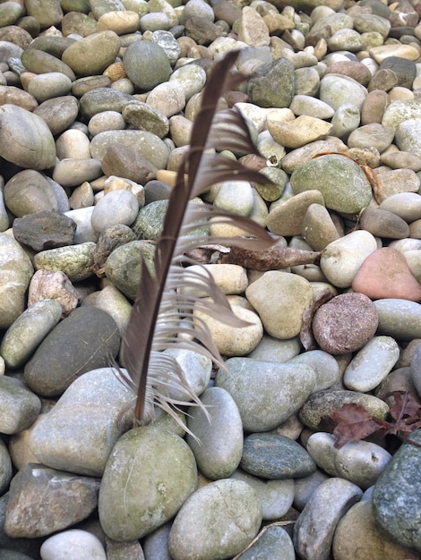 Foto kieselsteine auf felsen