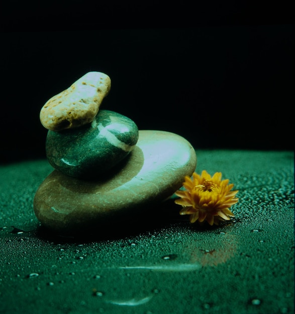 Kieselsteine und Blumen auf nassem Tisch
