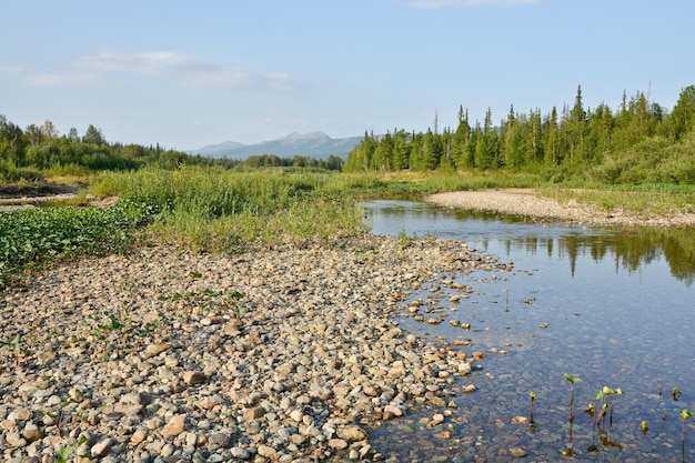 Kiesige Ufer des Flusses Shchugor im Nationalpark Yugyd VA