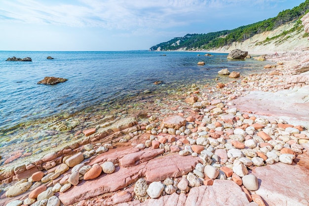 Kiesstrand bunte Bucht in Conero Naturpark dramatische Küste Landzunge Felsen Klippe Adria Tourismus Reiseziel Italien türkis transparentes Wasser