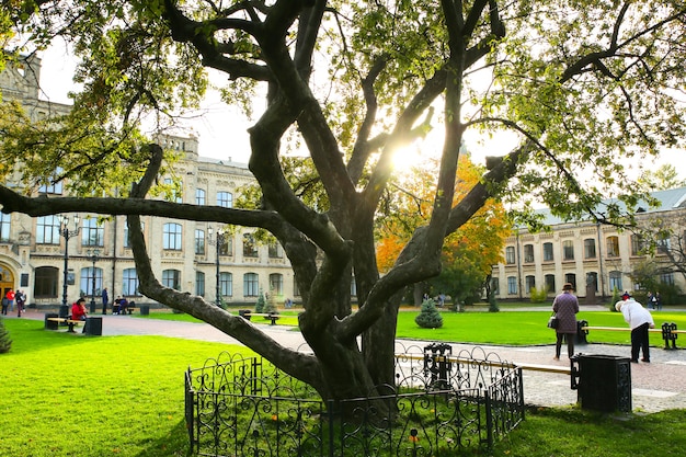 Kiev, Ucrania - 12 de octubre de 2019: Universidad Técnica Nacional de Ucrania. Instituto Politécnico de Kiev. Árbol grande.