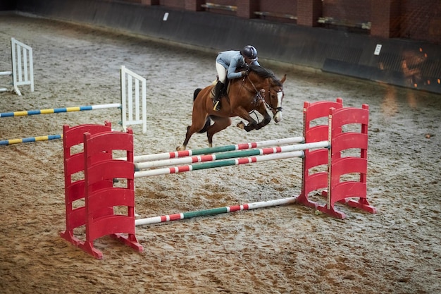 Kiew Ukraine 5. Januar 2022 Pferd und Reiter in Uniform beim Springwettbewerb