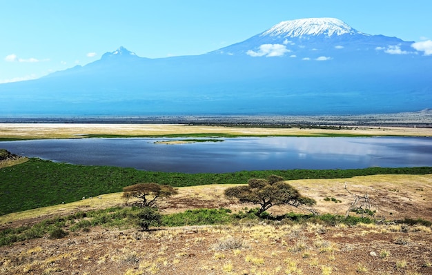 Kilimanjaro in der afrikanischen Savanne Amboseli Park