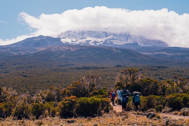 Kilimanjaro, Tansania - 15. März 2020: Afrikanische Träger, die Sachen auf dem Kopf tragen und den Kilimanjaro Mountain, Mount Kilimanjaro National Park, besteigen