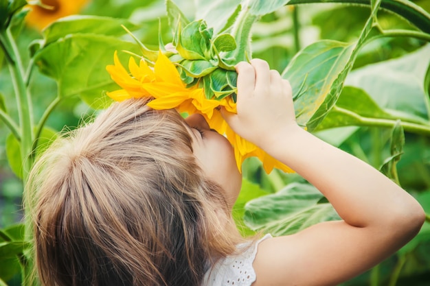 Kind auf dem Gebiet der Sonnenblumen ist ein kleiner Bauer. selektiver fokus.