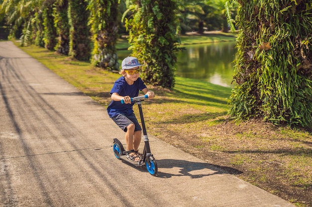 Kind auf Tretroller im Park Kinder lernen, Rollbrett zu skaten. Kleiner Junge, der im sonnigen Sommer Schlittschuh läuft