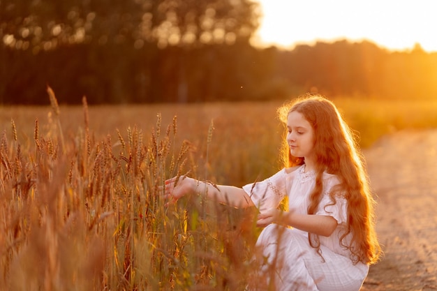 Kind berührt Roggen- oder Weizensprossen auf einem Feld bei Sonnenuntergang