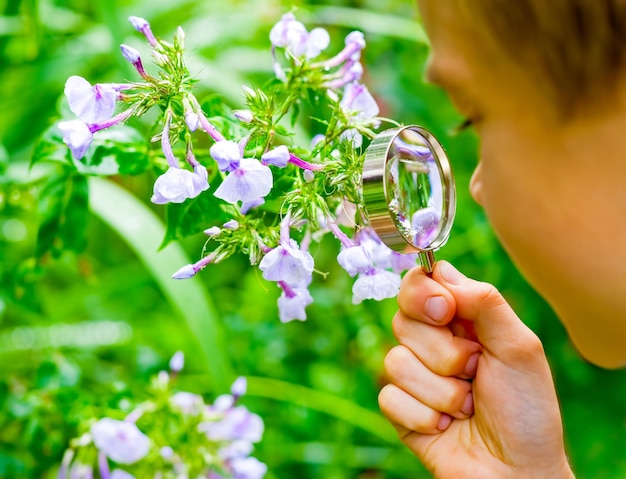 Kind, das Blume beobachtet