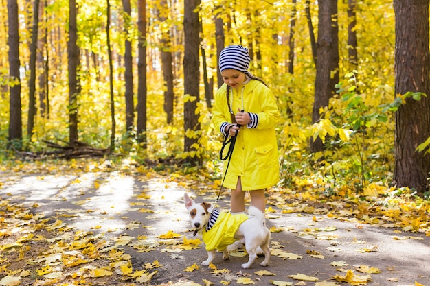 Kind, das im Herbstpark mit einem Jack Russell Terrier spielt. Kid und Jack Russell Terrier Hund.