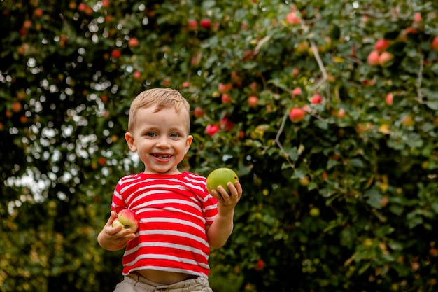 Kind, das Äpfel auf einer Farm pflückt