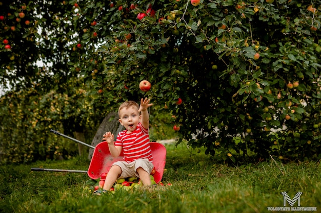 Kind, das Äpfel auf einer Farm spielt, die im Baumobstgarten spielt