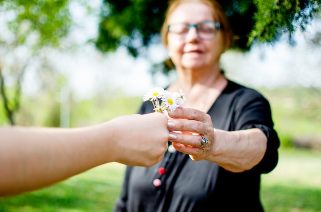 Foto kind hand geben an ältere frau gänseblümchen blumenstrauß. großkind geben frühlingsblumen an großmutter im freien. generationsbindung familie und freude